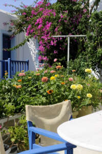 Pandora Naoussa Paros accommodation